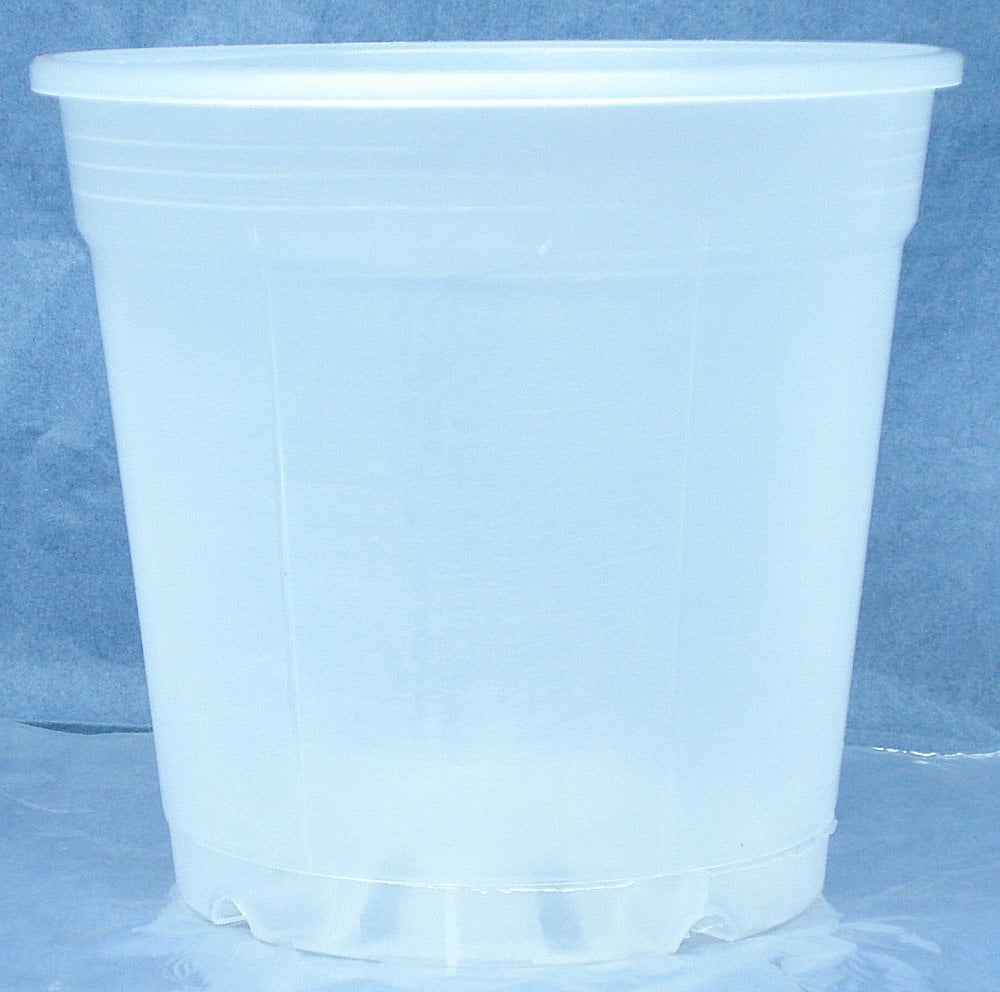 Quantity 5 6" Round Clear Plastic 6 inch Orchid Pot 