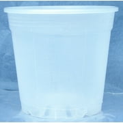6.0 Inch Round Clear Plastic Pot for Orchids - Quantity of 10