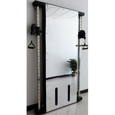 French Fitness Wall Mounted Mirror Functional Trainer (New)