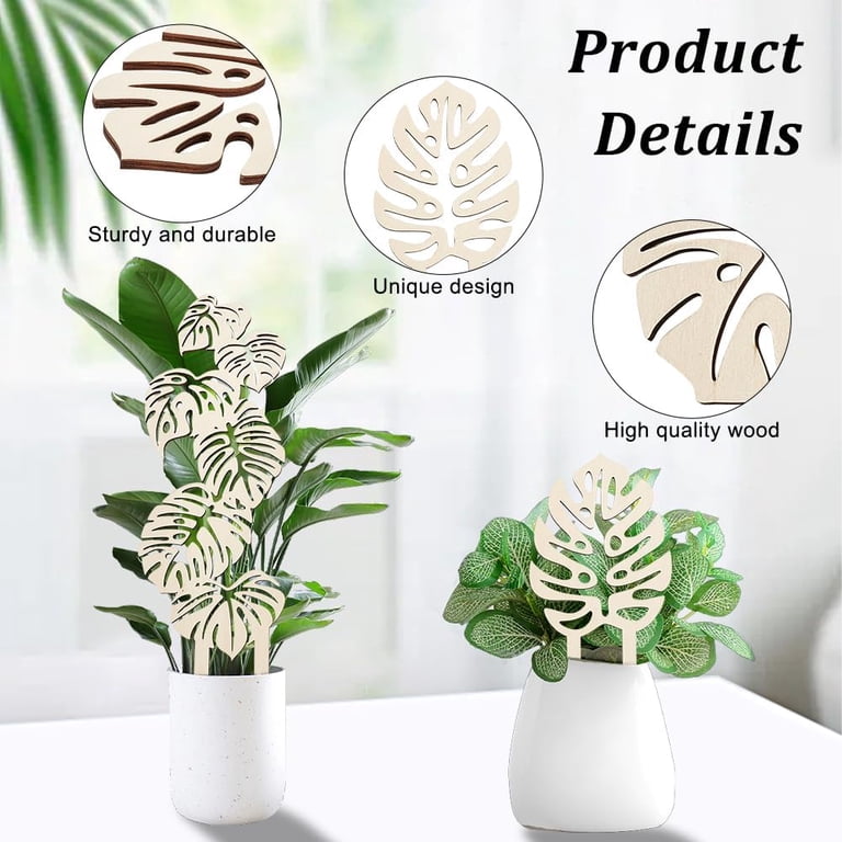florida beauty philodendron Philodendron Florida Beauty Variegata