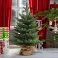 thumbnail image 5 of Artificial Norfolk Pine Tree - Faux Christmas Tree Potted Green for Front Porch Christmas Indoor Outdoor Decor for Entryway, Living Room, Office, Apartment, 5 of 5