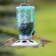 thumbnail image 5 of Perky-Pet Mason Jar Wild Bird Seed Feeder, 5 of 6