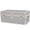 Silver, variant on Rhino Trunk & Case Large Armor Trunk - Summer Camp, College, Storage 32"x18"x14" (White)
