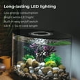 thumbnail image 5 of biOrb LOOP 15 Aquarium with Standard Light - 4 Gallon, Black, 5 of 8