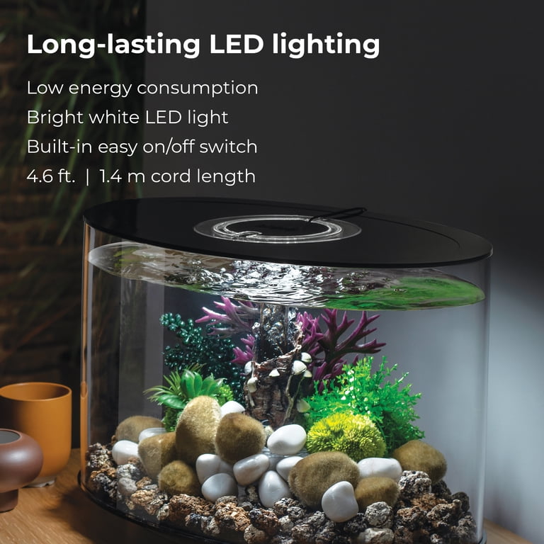 biOrb LOOP 15 Aquarium with Standard Light - 4 Gallon, Black