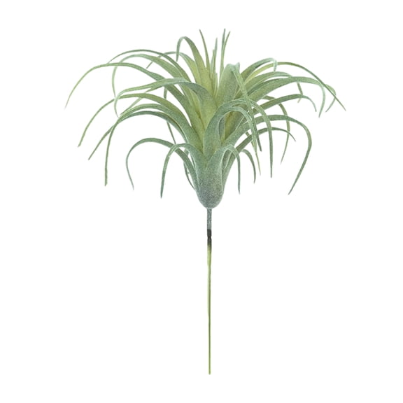 Realistic Faux Tillandsia Succulents Artificial Air Plant For Indoor Home Offices Green Plant for Shelf Desk Decoration