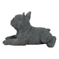 thumbnail image 2 of Realistic Lifelike Gray French Bulldog Puppy Sitting On Belly Figurine Frenchie, 2 of 9