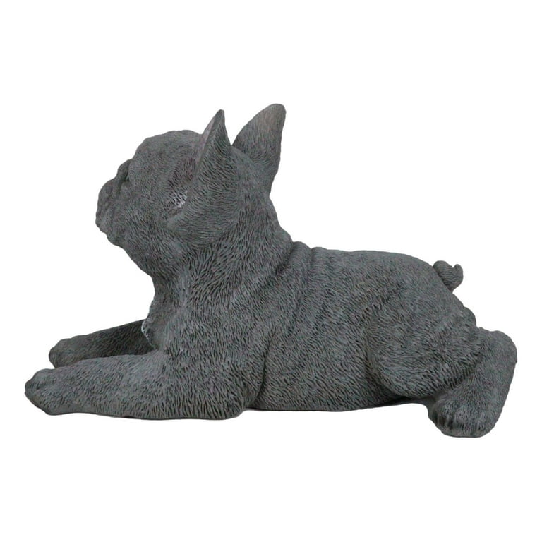 Gray frenchie cheap