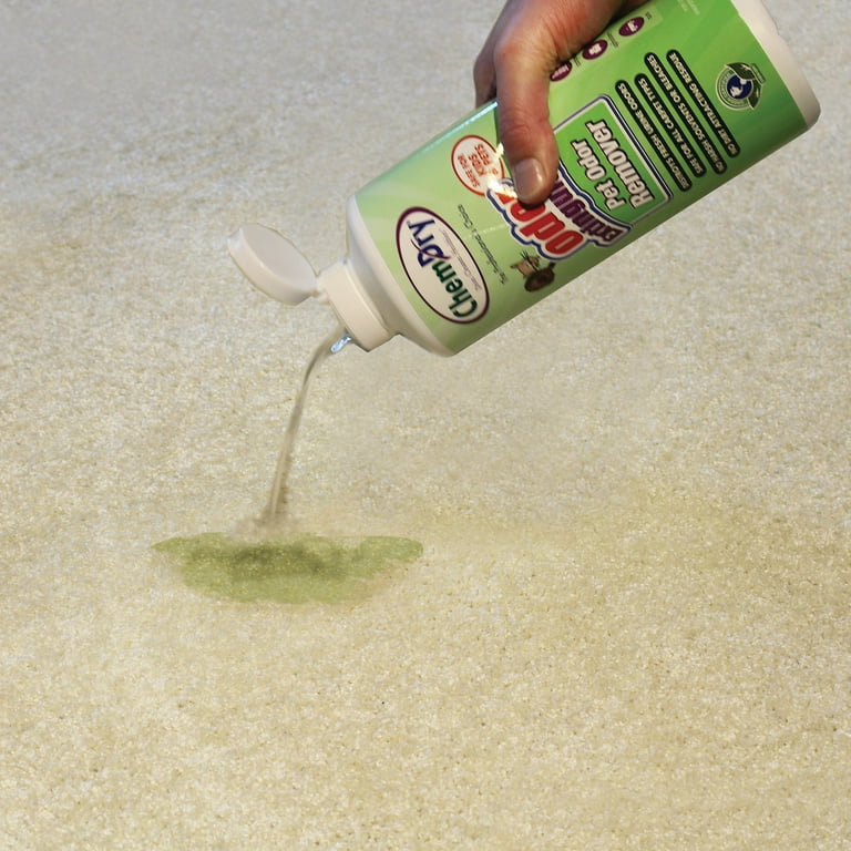 Chem dry pet odor remover cheap