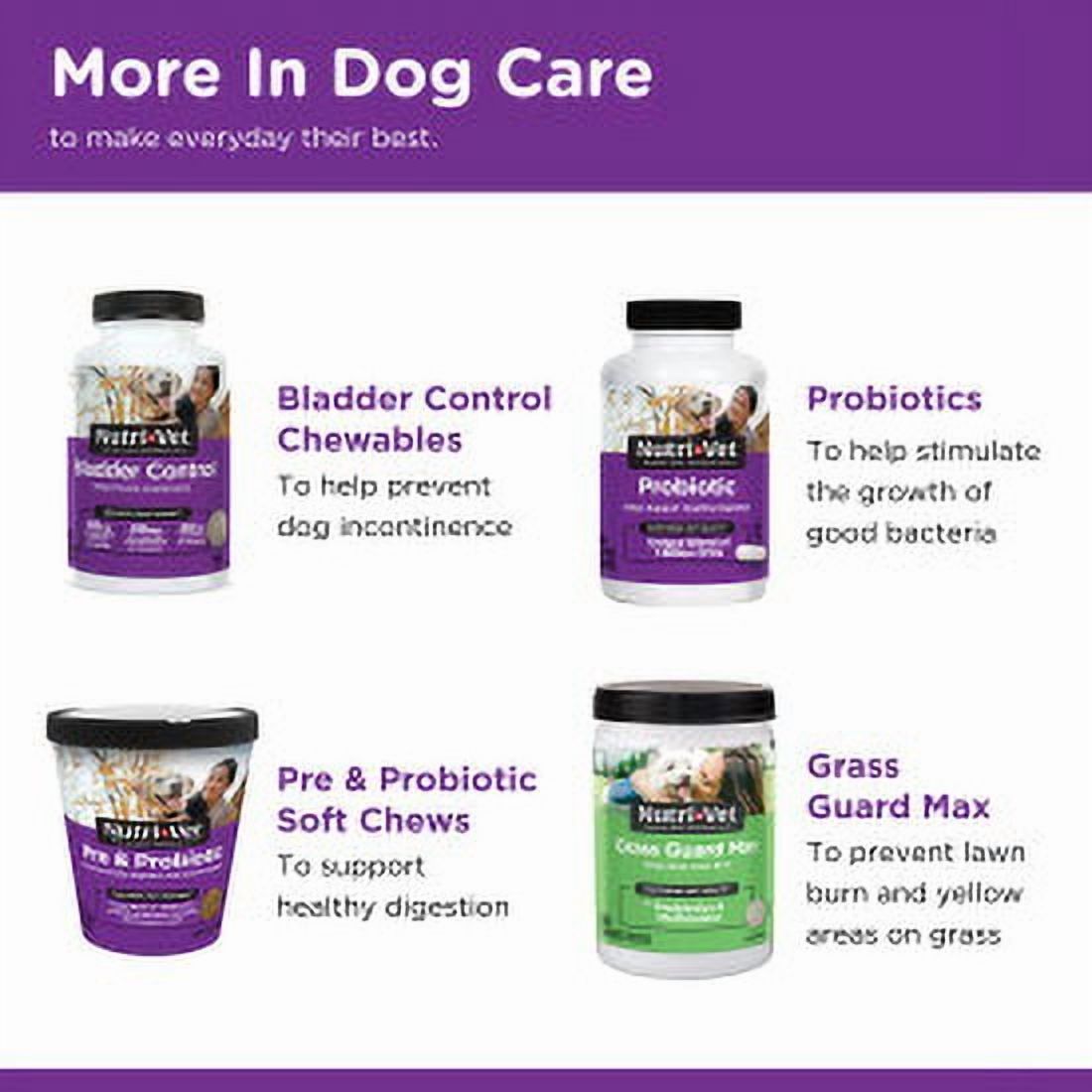 Nutri-Vet Anti-Diarrhea Digestive Remedy for Dogs - Mint Flavor - 4 oz.