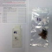 LabTech Easy to Use Mold Detection Test Kit