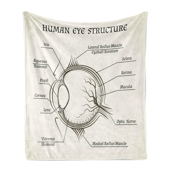 Biology Soft Flannel Fleece Blanket, Structure of Human Eye Anatomy Iris Pupil Lens Macula Aqueous Humour, Cozy Plush for Indoor and Outdoor Use, 70" x 90", Eggshell Brown and Black, by Ambesonne