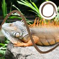 thumbnail image 3 of BRIGHTFUFU Tanque de reptiles, decoración de vid falsa, planta de vid Artificial, lagarto, vid trepadora, decoración de terrario, 3 of 7