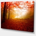 thumbnail image 2 of Designart PT9558-40-30 Sun Rays in Forest Landscape Photo Canvas Print, Red, 40x30", 2 of 3