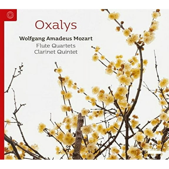 Mozart - Flute Quartets & Clarinet Quintets - Music & Performance - CD