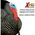 Higdon Outdoors Apex Full Strut Tom Turkey Decoy with