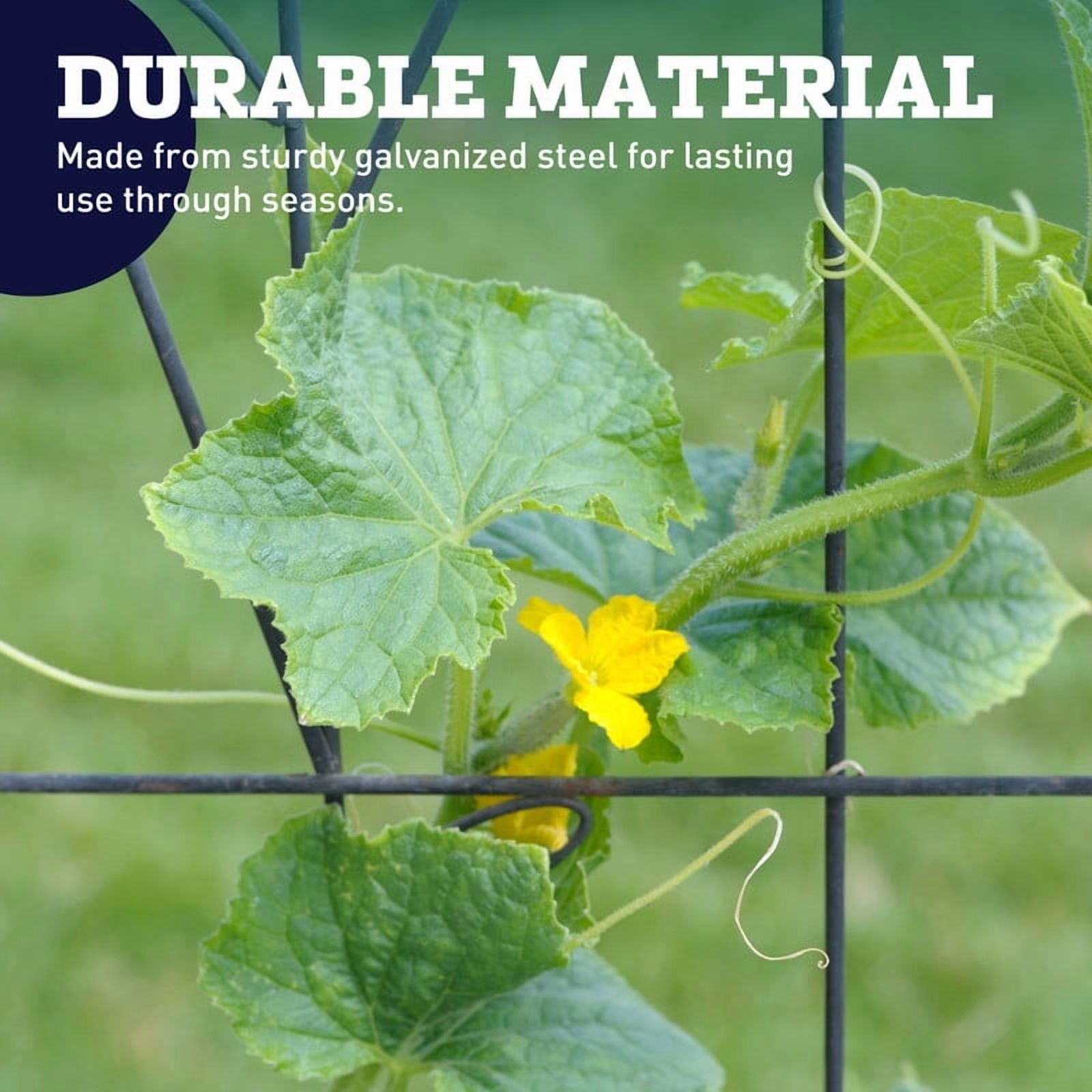Harris Seeds Cucumber Support 42” x 48” Galvanized Steel A-Frame Trellis
