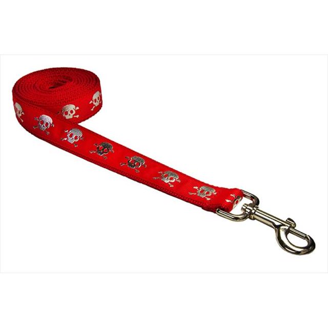 4 ft. Reflective Skull Dog Leash, Red - Small