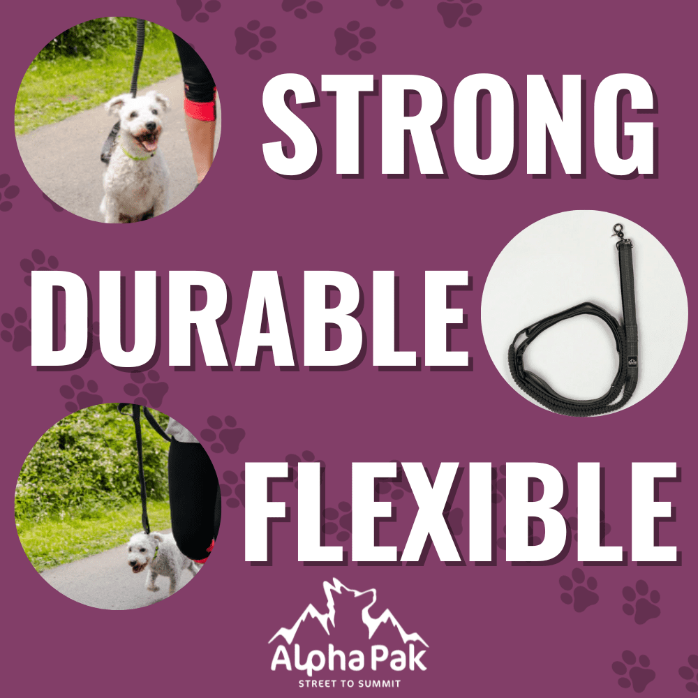 Alpha Pak | Cascades Stretchable Runner Dog Leash | Hands-Free | Reflective | Durable | 6-10 ft. Stretched | Graphite
