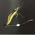 thumbnail image 6 of EUDIDV Realistic Animal Fishing Lures​; Shrimp Fishing Lures (10 PCS), Glowing Shrimp Shaped Pseudoshrimp Fishing Lures Baits Hooks Tackle Fishing Baits Tackle Tool Outdoor;Durable Fishing Lures​, 6 of 7