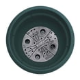 thumbnail image 6 of Bloem Ariana 12" Self-Watering Plastic Planter - Rolled Rim Indoor/Outdoor Garden Pot, Charleston Green, 6 of 7