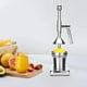 thumbnail image 5 of Exprimidor manual de frutas para jugos caseros frescos, construcción de acero inoxidable con gran capacidad para una elaboración eficiente de sidra de manzana y vino. Aestivo | B | AESTIVO, 5 of 6