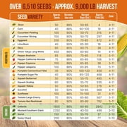 Organo Republic - 25 Summer Vegetable & Greens Seeds Varieties - 6,510+ Non GMO Heirloom Garden Seeds