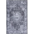 thumbnail image 2 of SAFAVIEH Tucson Donovan Oriental Machine Washable Area Rug, Black/Grey, 6' x 8', 2 of 14