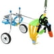 thumbnail image 2 of Silla de ruedas ajustable para perros para rehabilitación de patas traseras, 2 of 10