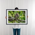 thumbnail image 3 of American Tree Sparrow - York Pennsylvania Photography Bird Wildlife Woodland Nature Animal Scenic Forest Black Framed Wall Art Print 11 x 14 inches, 3 of 8