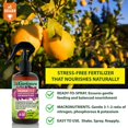 thumbnail image 2 of Gardenera Labs Professional POTHOS Spray Fertilizer Mist for Home Gardening | 3-1-2 Gentle Blend Mist for Healthy Leaves & Growth | Essential Nutrients for Pothos Plants - 8oz, 2 of 5