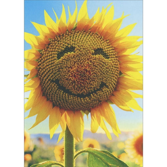Avanti Press Sunflower with Smiling Face Photo Blank Note Card