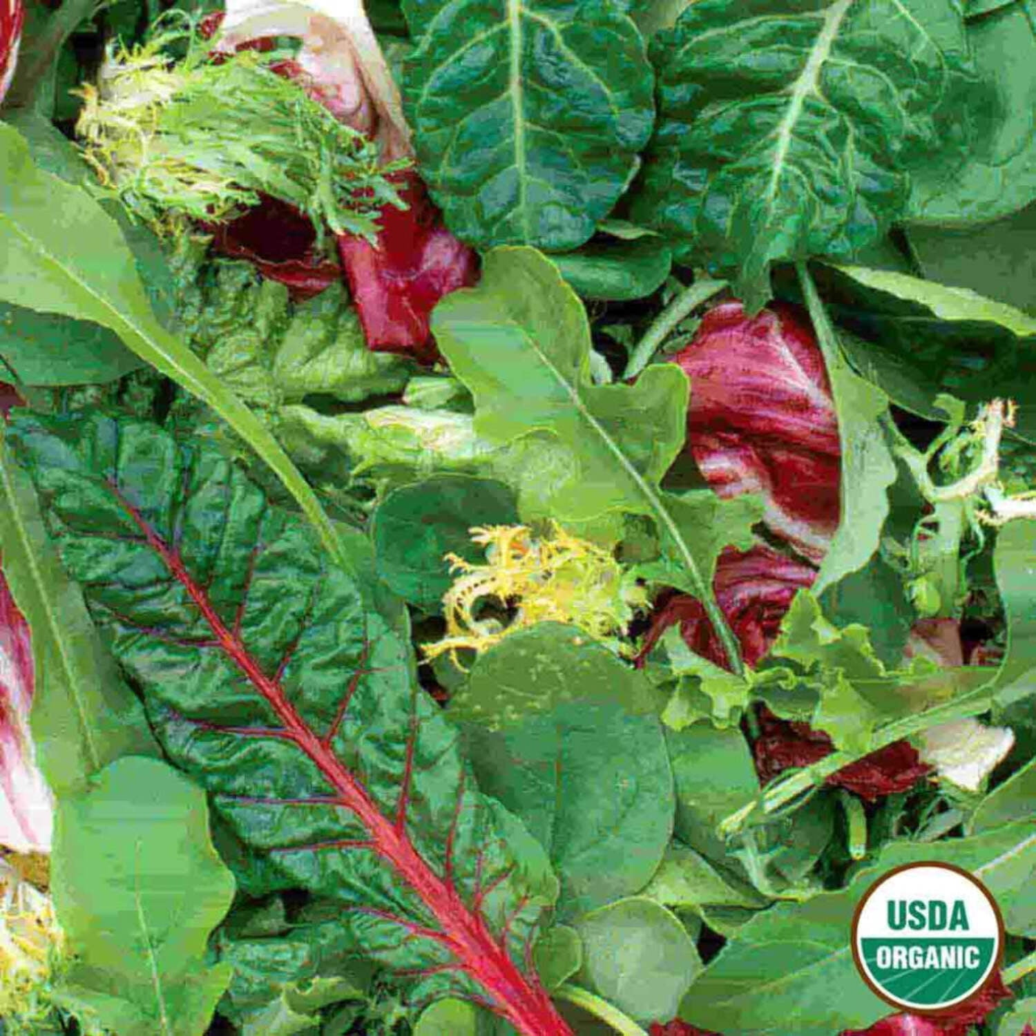 Ferry-Morse Online Edition Mesclun Gourmet Greens Mixture Organic Seed Multipack - 7 Pack