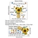 thumbnail image 2 of Adhesivo de Pared Inspirador de Girasol | Vinilo Autoadhesivo de 1 Metro | Frase Motivacional para Sala de Estar y Decoración Del Hogar | Fácil de Aplicar y Quitar, 2 of 2