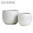 Olly & Rose Ceramic White Gold Plant Pot Set 2 6.7" and 5.5" Indoor