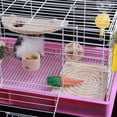 thumbnail image 4 of Mastican Chinchilla Cobaya Juguete Complimentos Mascota Color Brillante Ecológico Duradero Yuyangstore PET COBBIT WOOD PAD, 4 of 8