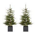 thumbnail image 2 of Fraiche Pre-Lit Porch Fir Tree 2-Piece Set, 2 of 6