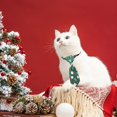 thumbnail image 5 of Pajarita para mascotas, compatible con perros y gatos, bonito regalo de Navidad compatible con cachorros y gatitos, 5 of 5