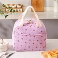 thumbnail image 4 of Eolstice Insulated Lunch Bag, Portable Bento Tote with Ice Pack, Bring Food to Work Camping, Reusable Meal Bag, For Men Women, 4 of 8
