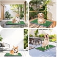 thumbnail image 6 of Large Dog Potty Tray with Grass Pee Pads - Easy to Clean 20x25 Inch, 6 of 6