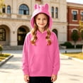 thumbnail image 2 of SJLDQY Boys Hoodies Cute Ear Hooded Sweatshirts with Kangaroo Pocket Fall Winter Outfits Long Sleeve Pullover Tops, 2 of 4
