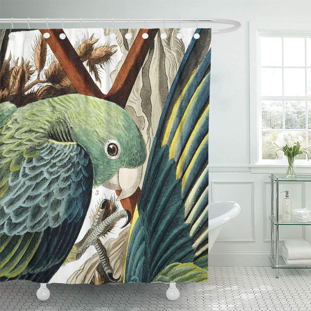 SUTTOM Blue Bird Teal Green Parrot Shower Curtain 60x72 inch