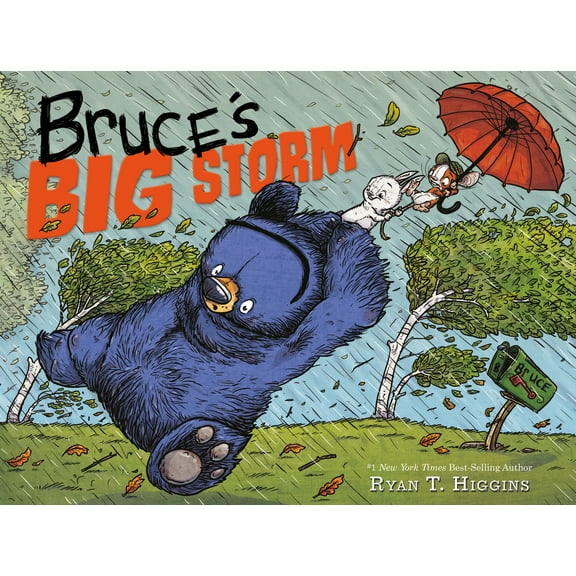 Pre-Owned Bruce's Big Storm (Hardcover) 1368026222 9781368026222