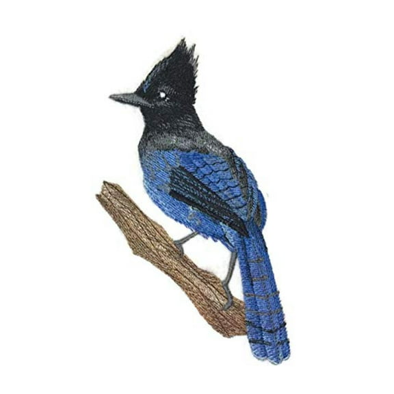 Steller's Jay on Branch Embroidered Iron on/Sew Patch [4.1" x 6.83"]