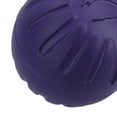 thumbnail image 6 of 3PK Large Interactive Play Durafoam Dog Puppy Ball Floating Toy-Assorted Colour, 6 of 7