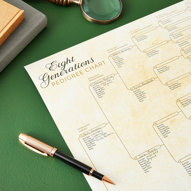 Family Tree Record Book: Genealogy Organizer and Notebook With Family Tree  Chart