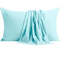 NTBAY Ultra Soft Double Brushed Microfiber Pillowcase Set, Hypoallergenic, King Size, Aqua, 2 Pack