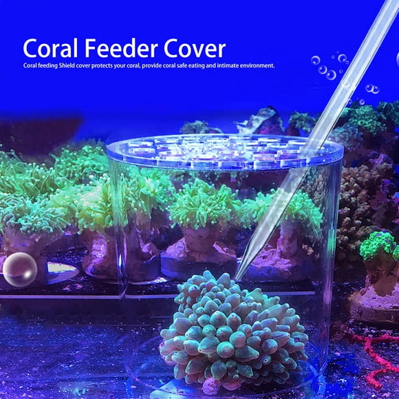 Garosa Coral Feeder Reproduction Cover, Acrylic Transparent Coral Feeder Cover Anti-Feeding Shrimp for Aquarium Fish Tank, Coral Feeder Cover