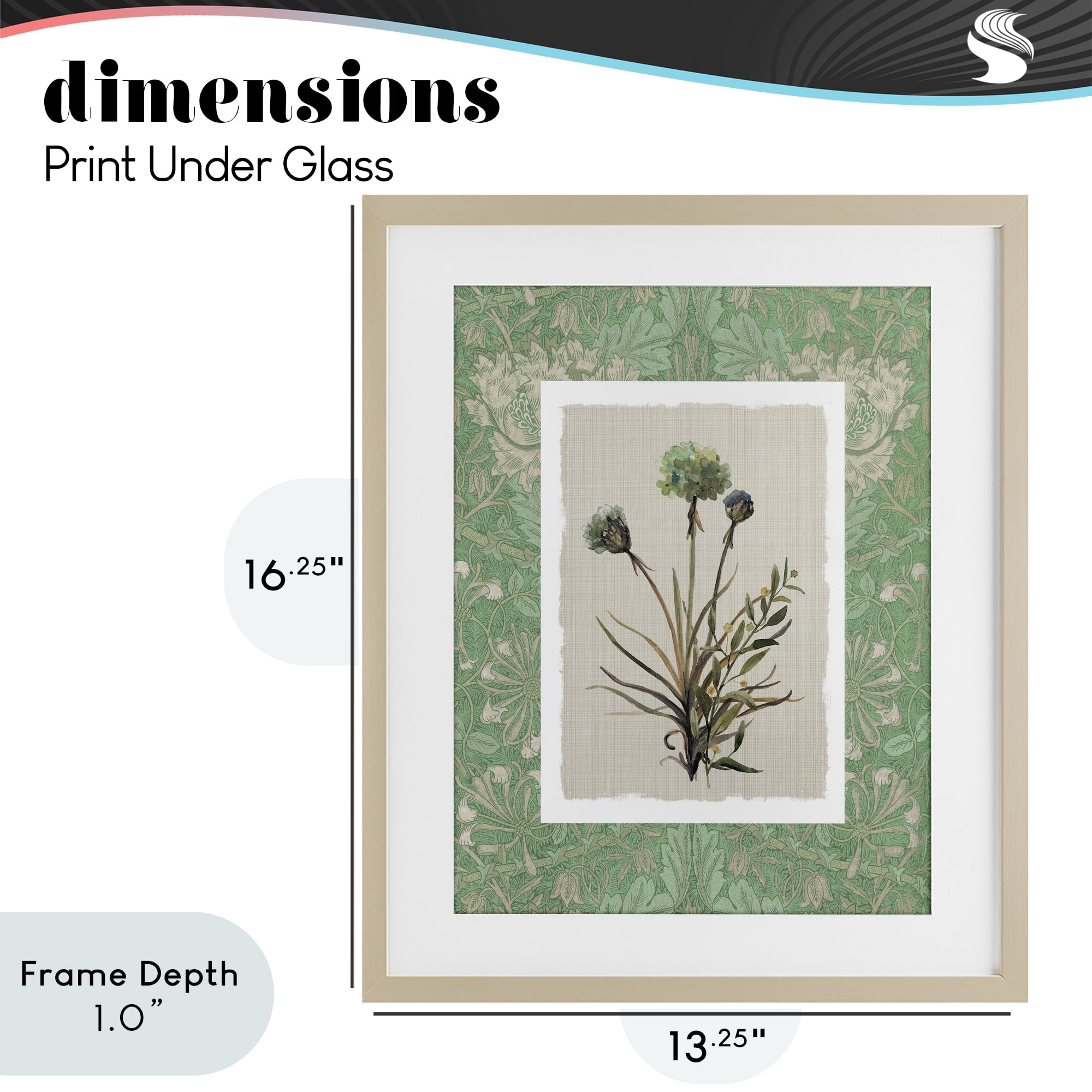 Stupell Industries Vintage Foliage in Green Birch Framed Print Under Glass, design by Carol Robinson