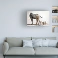 thumbnail image 4 of Canvas Wall Art - Lucia Heffernan 'The Paint Job' Wall Art for Living Room, Bedroom, or Office Décor by Trademark Fine Art - 32 x 22 Inches, 4 of 4